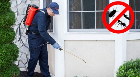 Halkapınar Tahtakurusu İlaçlama böcek ilaçlama ve haşere kontrolü — ilaclama-tr.com